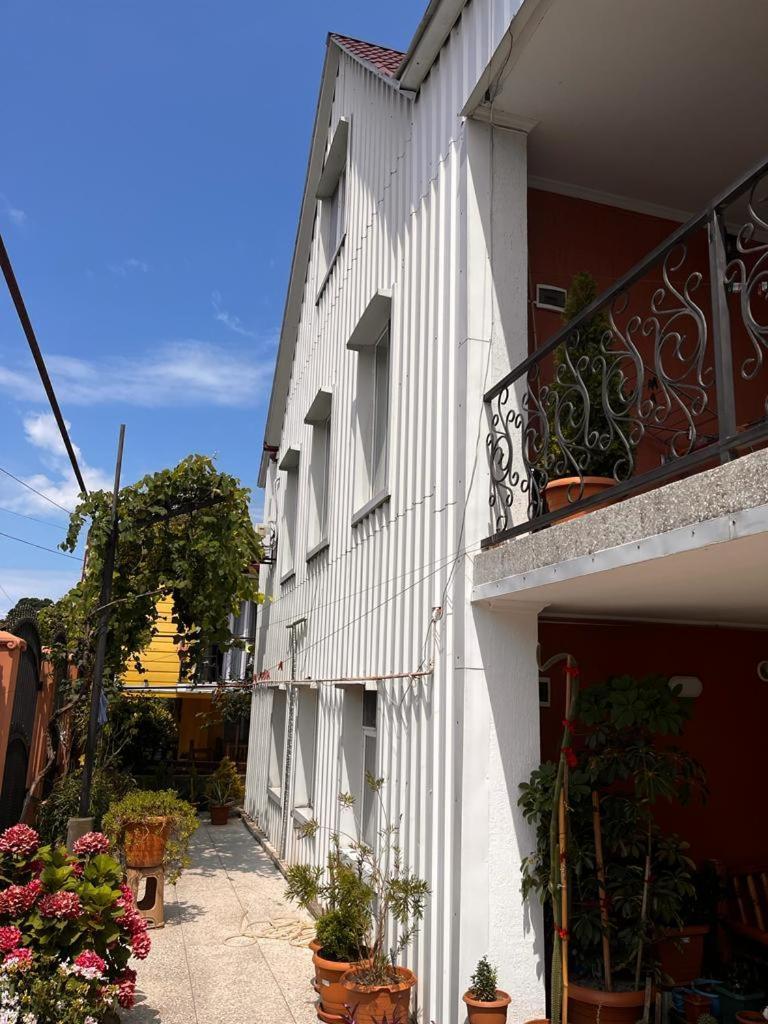 Guest House Chexovi 24 Kobuleti Εξωτερικό φωτογραφία