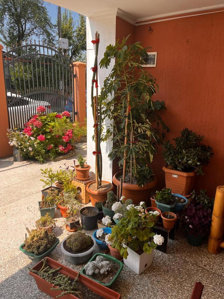 Guest House Chexovi 24 Kobuleti Εξωτερικό φωτογραφία