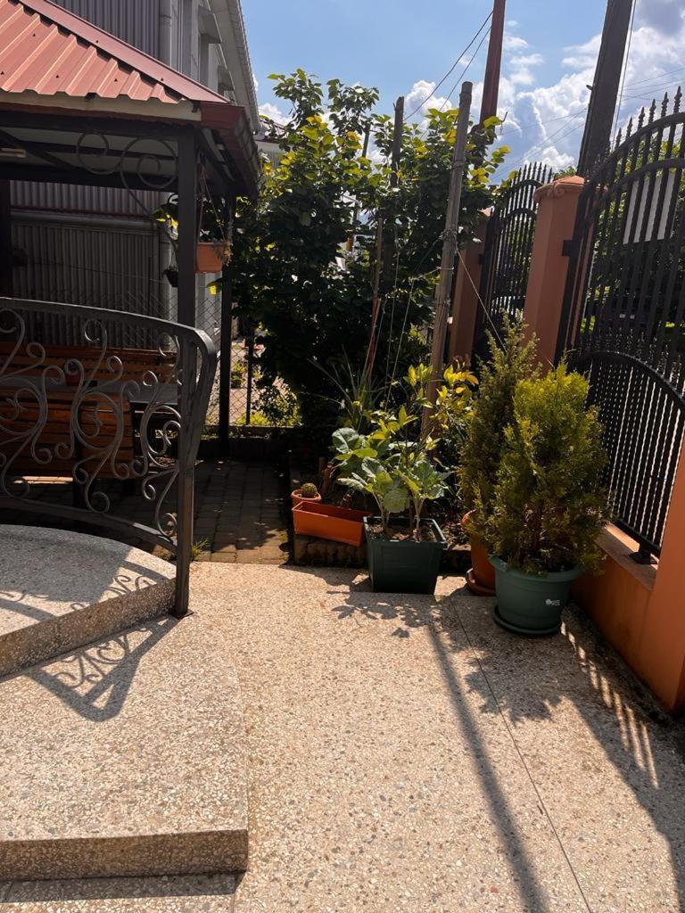 Guest House Chexovi 24 Kobuleti Εξωτερικό φωτογραφία