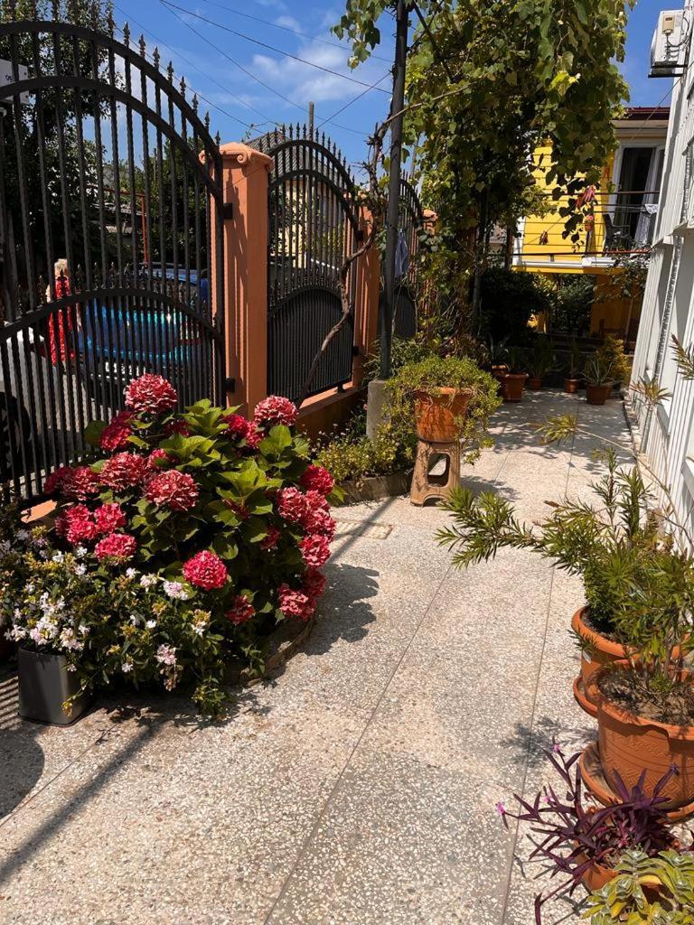 Guest House Chexovi 24 Kobuleti Εξωτερικό φωτογραφία
